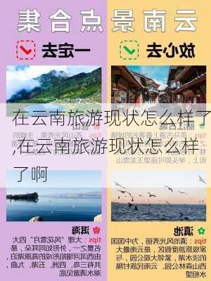 在云南旅游现状怎么样了,在云南旅游现状怎么样了啊-第1张图片-奥莱旅游网