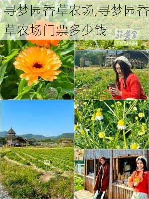 寻梦园香草农场,寻梦园香草农场门票多少钱-第2张图片-奥莱旅游网