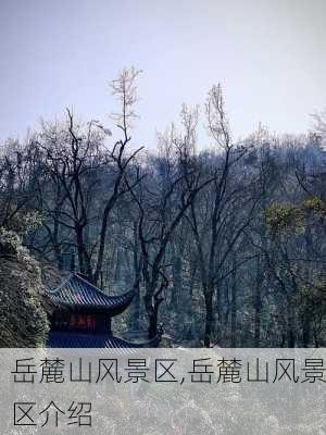 岳麓山风景区,岳麓山风景区介绍-第2张图片-奥莱旅游网