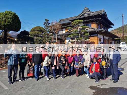 自由行旅游团,日本东京自由行旅游团-第2张图片-奥莱旅游网