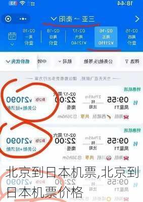北京到日本机票,北京到日本机票价格-第2张图片-奥莱旅游网