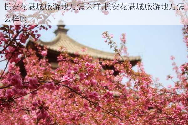 长安花满城旅游地方怎么样,长安花满城旅游地方怎么样啊