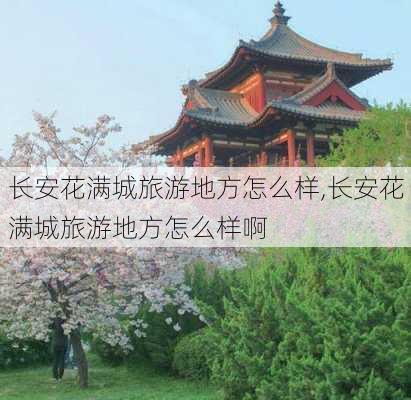 长安花满城旅游地方怎么样,长安花满城旅游地方怎么样啊-第3张图片-奥莱旅游网