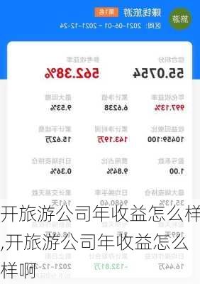 开旅游公司年收益怎么样,开旅游公司年收益怎么样啊-第1张图片-奥莱旅游网