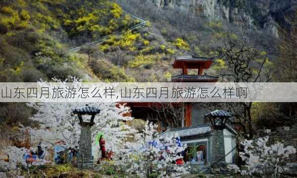 山东四月旅游怎么样,山东四月旅游怎么样啊-第2张图片-奥莱旅游网