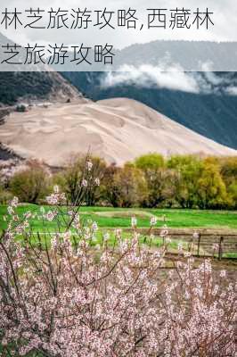 林芝旅游攻略,西藏林芝旅游攻略