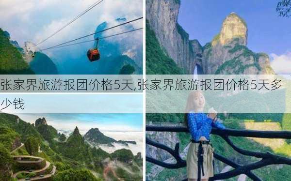 张家界旅游报团价格5天,张家界旅游报团价格5天多少钱-第2张图片-奥莱旅游网