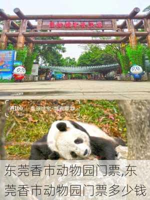 东莞香市动物园门票,东莞香市动物园门票多少钱-第3张图片-奥莱旅游网