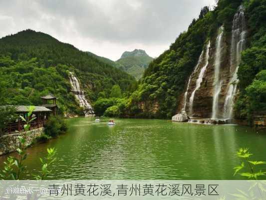 青州黄花溪,青州黄花溪风景区-第2张图片-奥莱旅游网