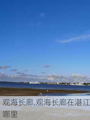 观海长廊,观海长廊在湛江哪里