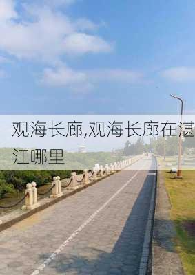 观海长廊,观海长廊在湛江哪里-第3张图片-奥莱旅游网