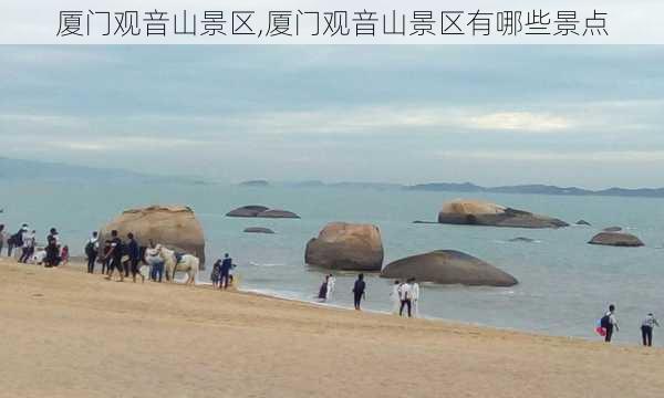 厦门观音山景区,厦门观音山景区有哪些景点-第3张图片-奥莱旅游网