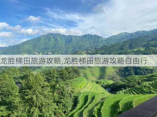 龙胜梯田旅游攻略,龙胜梯田旅游攻略自由行-第3张图片-奥莱旅游网