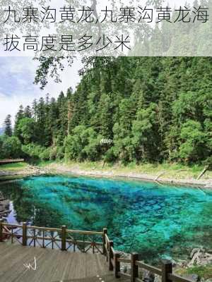 九寨沟黄龙,九寨沟黄龙海拔高度是多少米-第3张图片-奥莱旅游网