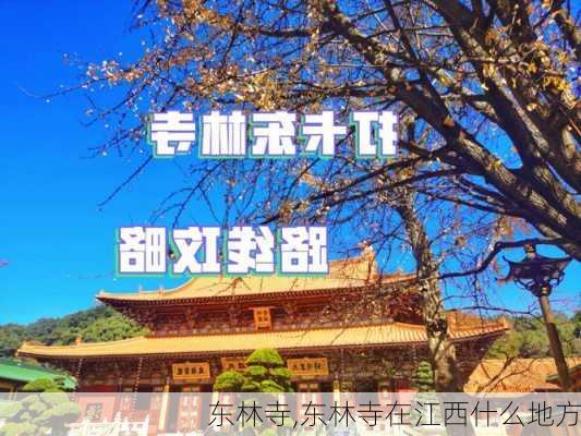 东林寺,东林寺在江西什么地方-第3张图片-奥莱旅游网