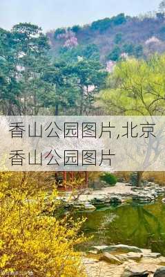 香山公园图片,北京香山公园图片-第2张图片-奥莱旅游网