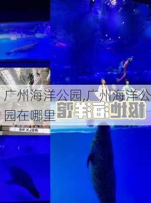 广州海洋公园,广州海洋公园在哪里-第3张图片-奥莱旅游网