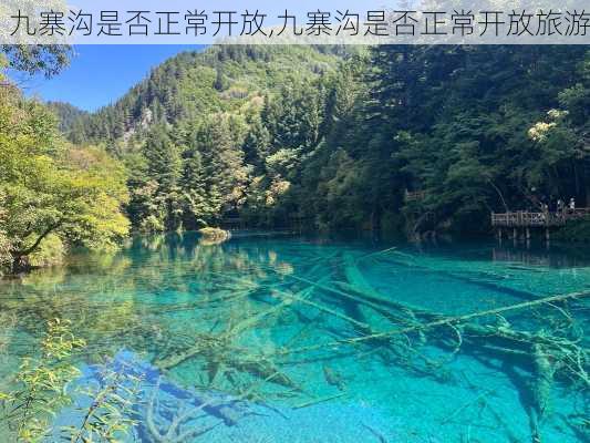 九寨沟是否正常开放,九寨沟是否正常开放旅游-第3张图片-奥莱旅游网