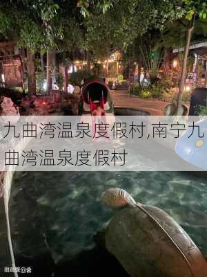 九曲湾温泉度假村,南宁九曲湾温泉度假村-第2张图片-奥莱旅游网