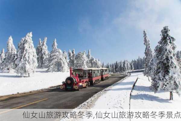 仙女山旅游攻略冬季,仙女山旅游攻略冬季景点-第3张图片-奥莱旅游网