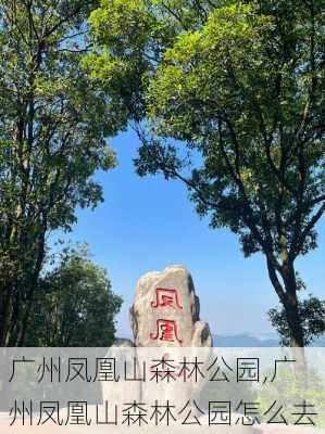 广州凤凰山森林公园,广州凤凰山森林公园怎么去-第1张图片-奥莱旅游网