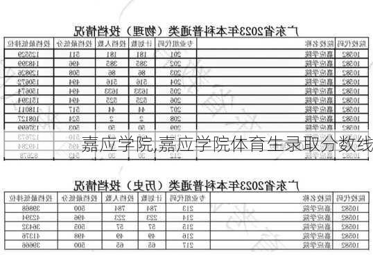 嘉应学院,嘉应学院体育生录取分数线-第1张图片-奥莱旅游网