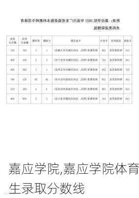 嘉应学院,嘉应学院体育生录取分数线-第3张图片-奥莱旅游网