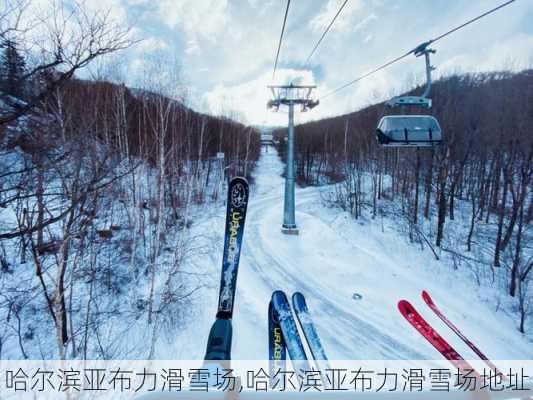 哈尔滨亚布力滑雪场,哈尔滨亚布力滑雪场地址-第2张图片-奥莱旅游网