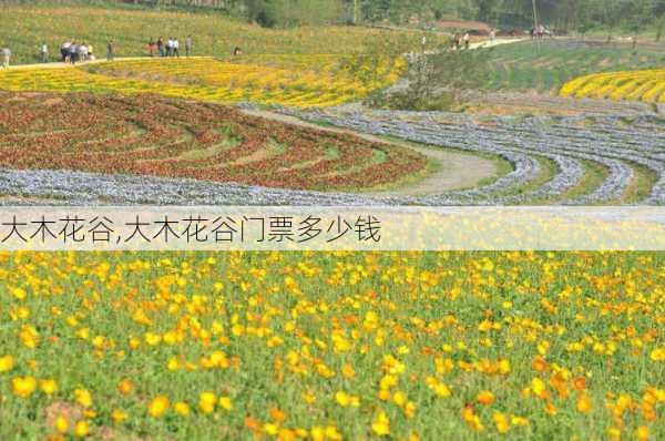 大木花谷,大木花谷门票多少钱-第2张图片-奥莱旅游网