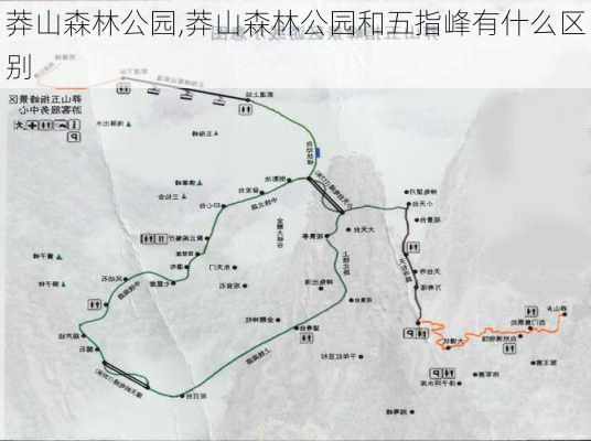 莽山森林公园,莽山森林公园和五指峰有什么区别-第1张图片-奥莱旅游网