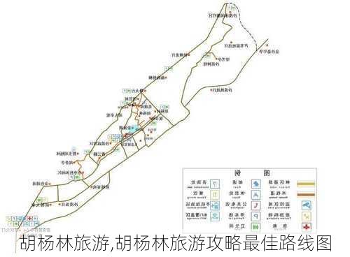 胡杨林旅游,胡杨林旅游攻略最佳路线图-第3张图片-奥莱旅游网