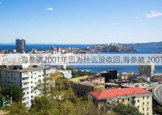 海参崴2001年因为什么没收回,海参崴 2001-第2张图片-奥莱旅游网