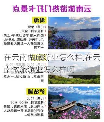 在云南做旅游业怎么样,在云南做旅游业怎么样啊-第2张图片-奥莱旅游网