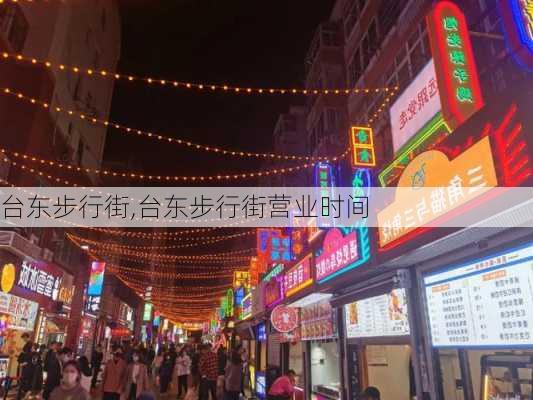 台东步行街,台东步行街营业时间-第2张图片-奥莱旅游网