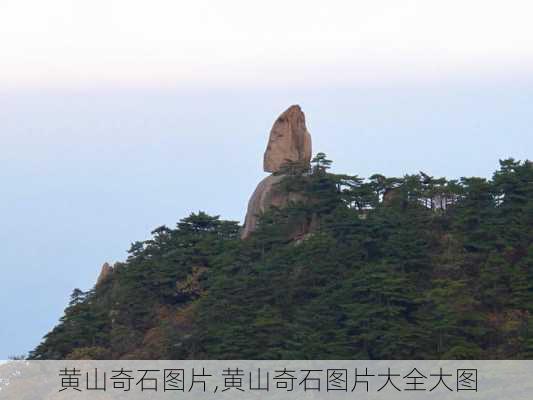 黄山奇石图片,黄山奇石图片大全大图-第2张图片-奥莱旅游网