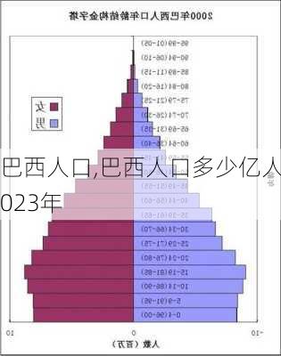 巴西人口,巴西人口多少亿人2023年-第2张图片-奥莱旅游网