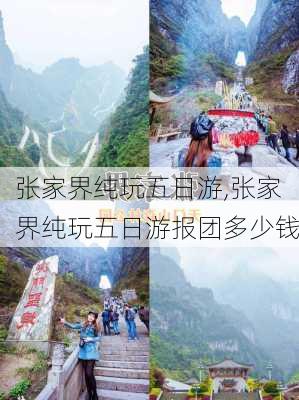 张家界纯玩五日游,张家界纯玩五日游报团多少钱-第2张图片-奥莱旅游网