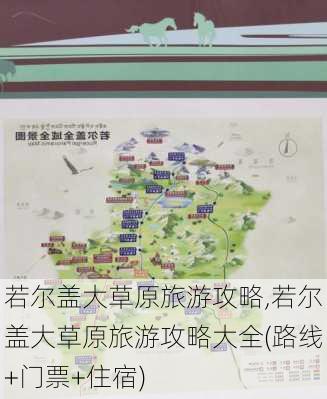 若尔盖大草原旅游攻略,若尔盖大草原旅游攻略大全(路线+门票+住宿)-第3张图片-奥莱旅游网