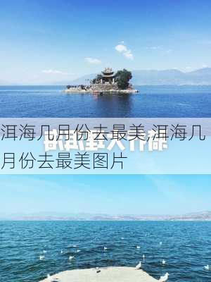 洱海几月份去最美,洱海几月份去最美图片-第3张图片-奥莱旅游网