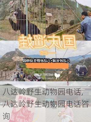 八达岭野生动物园电话,八达岭野生动物园电话咨询-第1张图片-奥莱旅游网