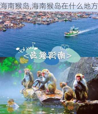 海南猴岛,海南猴岛在什么地方-第3张图片-奥莱旅游网