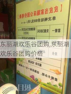 东丽湖欢乐谷团购,东丽湖欢乐谷团购价格-第3张图片-奥莱旅游网