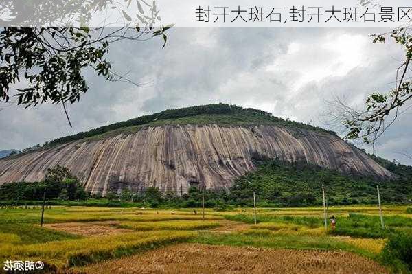 封开大斑石,封开大斑石景区-第3张图片-奥莱旅游网