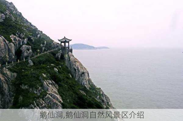 鹅仙洞,鹅仙洞自然风景区介绍-第3张图片-奥莱旅游网