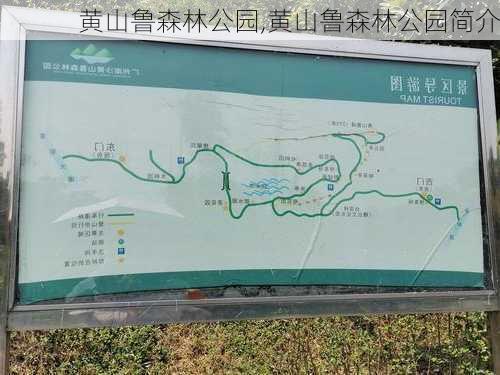 黄山鲁森林公园,黄山鲁森林公园简介