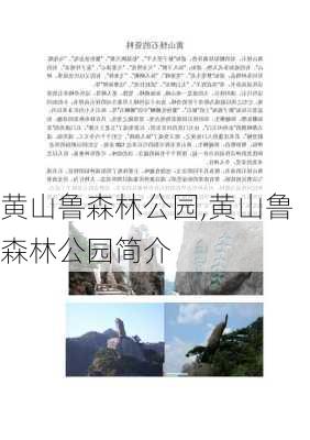 黄山鲁森林公园,黄山鲁森林公园简介-第3张图片-奥莱旅游网