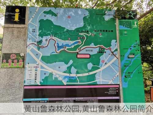 黄山鲁森林公园,黄山鲁森林公园简介-第2张图片-奥莱旅游网