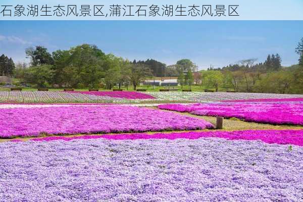 石象湖生态风景区,蒲江石象湖生态风景区-第3张图片-奥莱旅游网