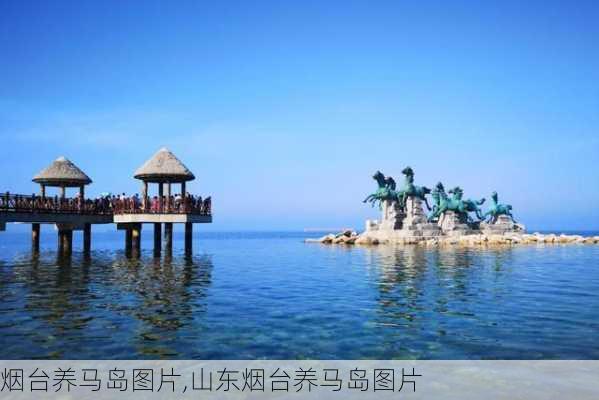 烟台养马岛图片,山东烟台养马岛图片-第1张图片-奥莱旅游网