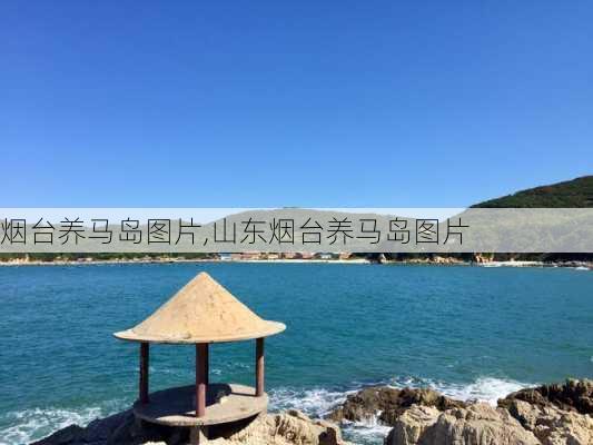 烟台养马岛图片,山东烟台养马岛图片-第2张图片-奥莱旅游网